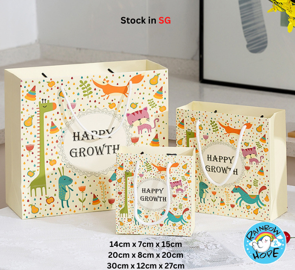Premium Quality Paper Bag / Gift Bag 礼物结婚喜庆礼品袋