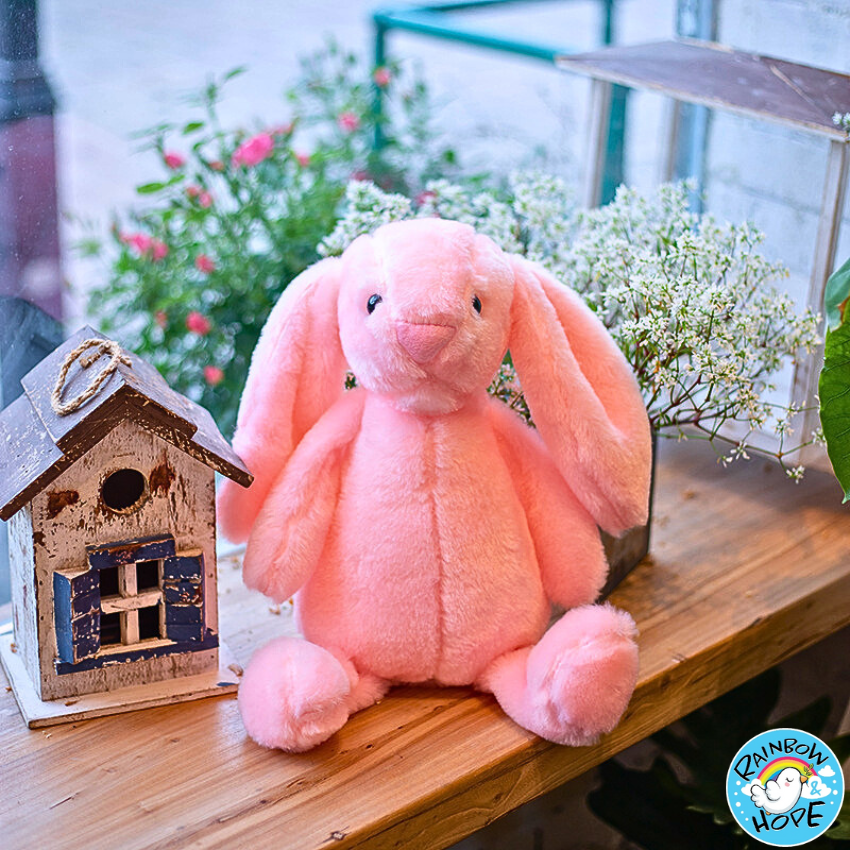 Cute Bunny Rabbit / Bonnie Rabbit Doll Appease 安抚兔
