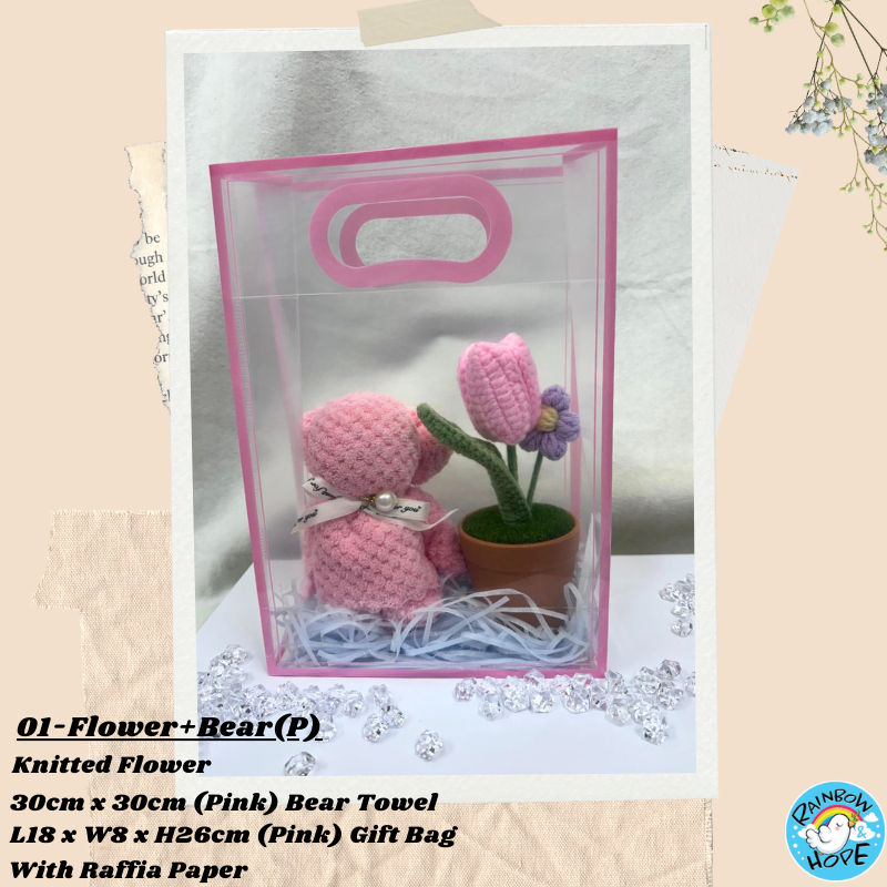 Gift Set /Birthday Christmas Gift/ Companion Gift/ Teachers Day/ Artificial Potted Plant礼物套装