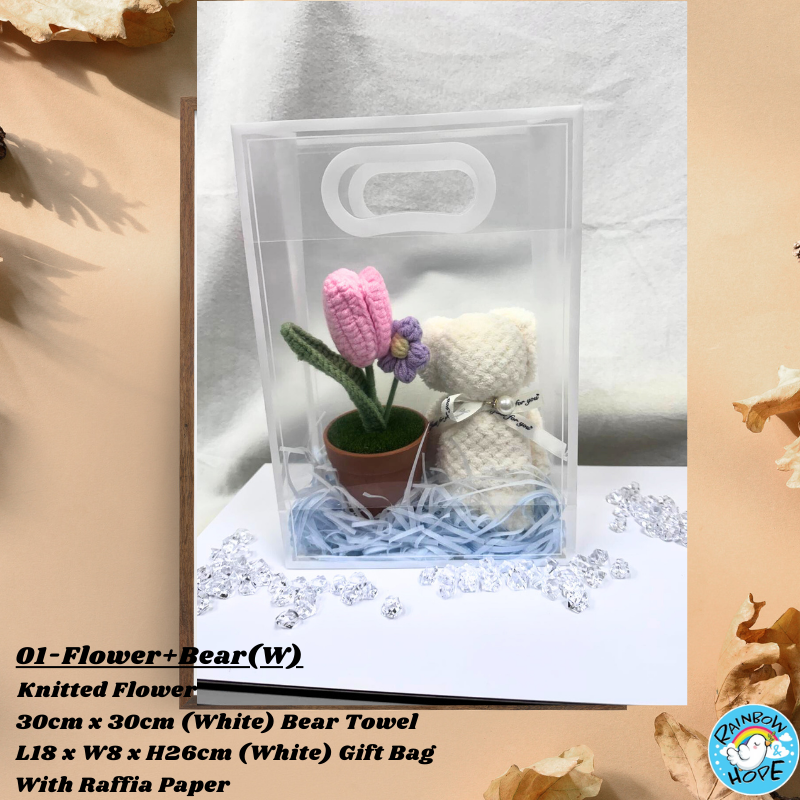Gift Set /Birthday Christmas Gift/ Companion Gift/ Teachers Day/ Artificial Potted Plant礼物套装