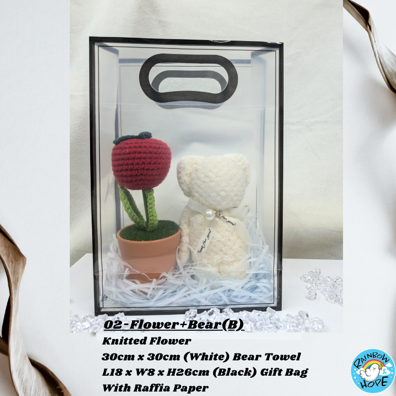Gift Set /Birthday Christmas Gift/ Companion Gift/ Teachers Day/ Artificial Potted Plant礼物套装