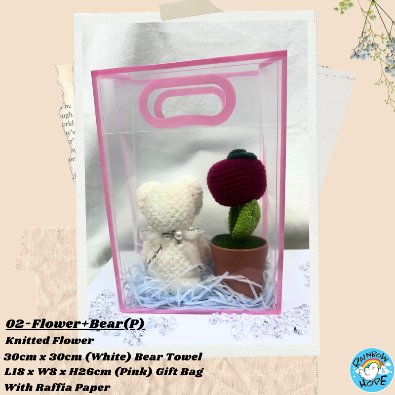 Gift Set /Birthday Christmas Gift/ Companion Gift/ Teachers Day/ Artificial Potted Plant礼物套装