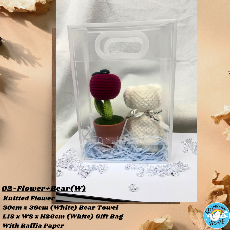 Gift Set /Birthday Christmas Gift/ Companion Gift/ Teachers Day/ Artificial Potted Plant礼物套装