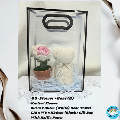 Gift Set /Birthday Christmas Gift/ Companion Gift/ Teachers Day/ Artificial Potted Plant礼物套装