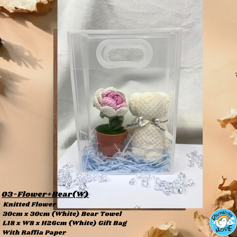 Gift Set /Birthday Christmas Gift/ Companion Gift/ Teachers Day/ Artificial Potted Plant礼物套装