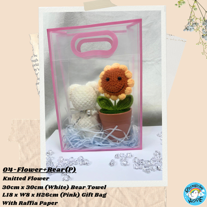 Gift Set /Birthday Christmas Gift/ Companion Gift/ Teachers Day/ Artificial Potted Plant礼物套装