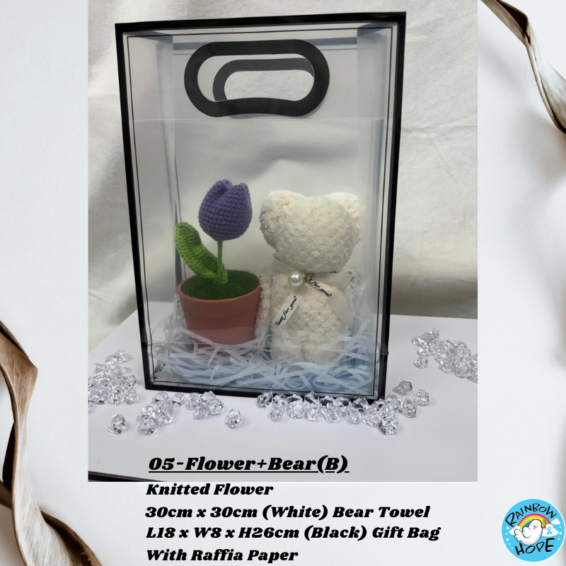 Gift Set /Birthday Christmas Gift/ Companion Gift/ Teachers Day/ Artificial Potted Plant礼物套装