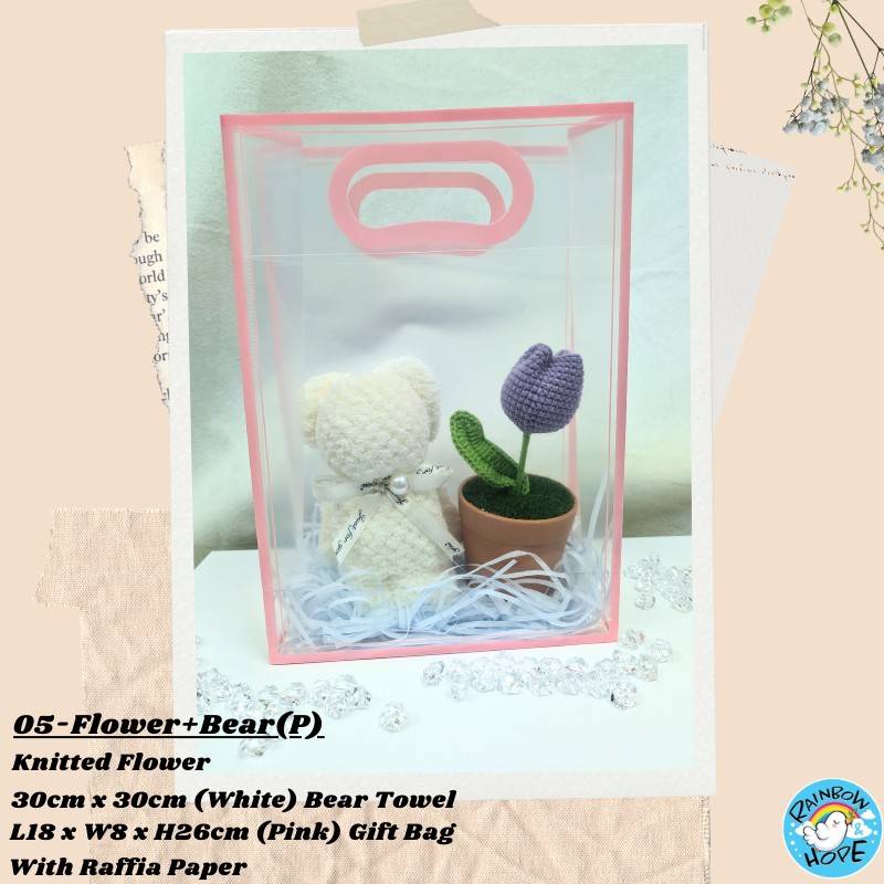 Gift Set /Birthday Christmas Gift/ Companion Gift/ Teachers Day/ Artificial Potted Plant礼物套装