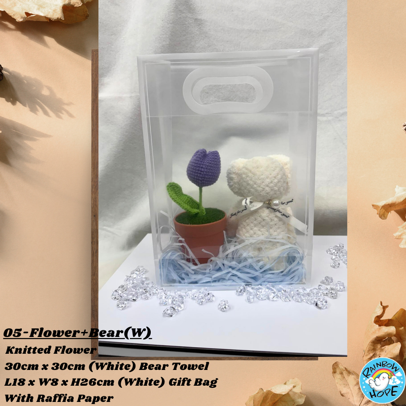 Gift Set /Birthday Christmas Gift/ Companion Gift/ Teachers Day/ Artificial Potted Plant礼物套装