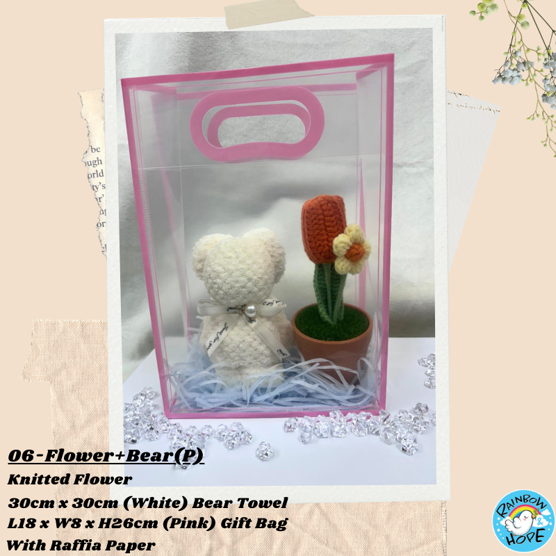 Gift Set /Birthday Christmas Gift/ Companion Gift/ Teachers Day/ Artificial Potted Plant礼物套装