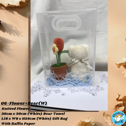Gift Set /Birthday Christmas Gift/ Companion Gift/ Teachers Day/ Artificial Potted Plant礼物套装