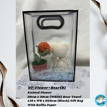 Gift Set /Birthday Christmas Gift/ Companion Gift/ Teachers Day/ Artificial Potted Plant礼物套装