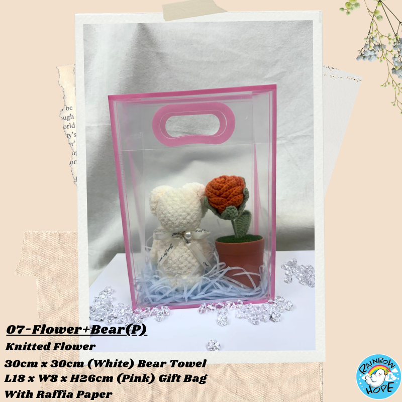 Gift Set /Birthday Christmas Gift/ Companion Gift/ Teachers Day/ Artificial Potted Plant礼物套装
