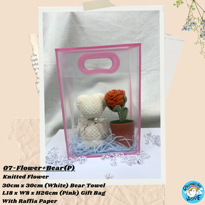 Gift Set /Birthday Christmas Gift/ Companion Gift/ Teachers Day/ Artificial Potted Plant礼物套装