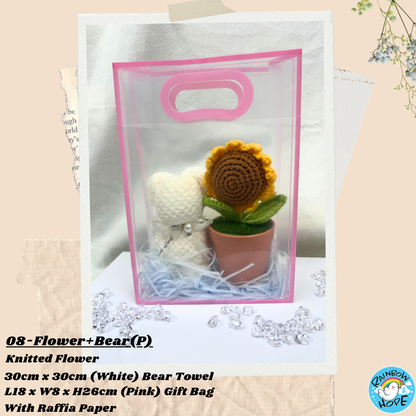 Gift Set /Birthday Christmas Gift/ Companion Gift/ Teachers Day/ Artificial Potted Plant礼物套装