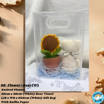 Gift Set /Birthday Christmas Gift/ Companion Gift/ Teachers Day/ Artificial Potted Plant礼物套装