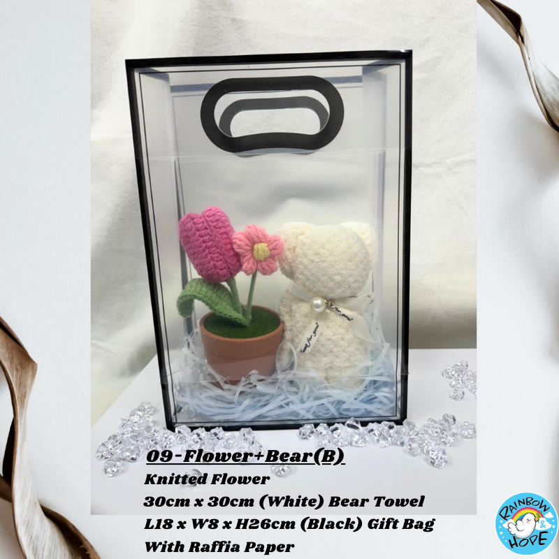 Gift Set /Birthday Christmas Gift/ Companion Gift/ Teachers Day/ Artificial Potted Plant礼物套装