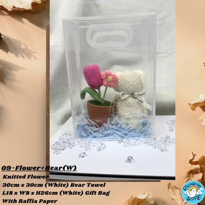 Gift Set /Birthday Christmas Gift/ Companion Gift/ Teachers Day/ Artificial Potted Plant礼物套装