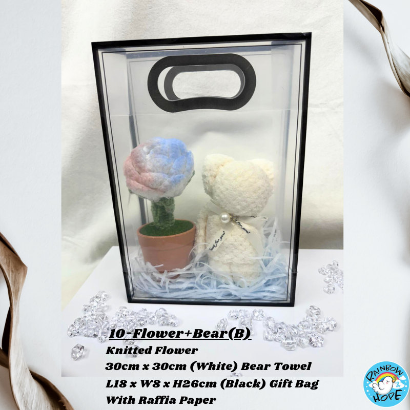 Gift Set /Birthday Christmas Gift/ Companion Gift/ Teachers Day/ Artificial Potted Plant礼物套装