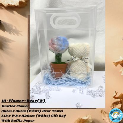Gift Set /Birthday Christmas Gift/ Companion Gift/ Teachers Day/ Artificial Potted Plant礼物套装