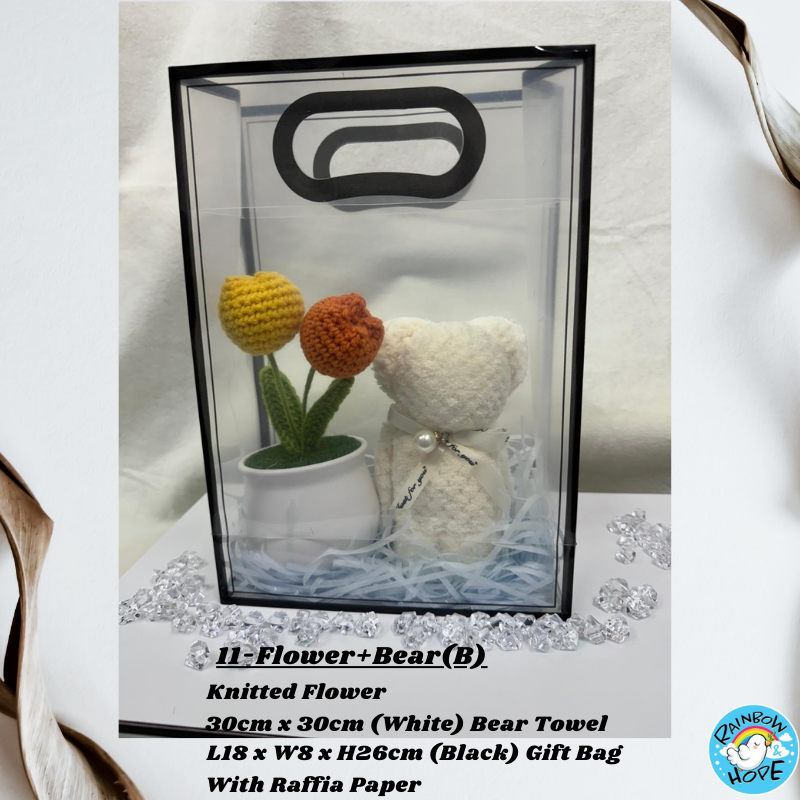 Gift Set /Birthday Christmas Gift/ Companion Gift/ Teachers Day/ Artificial Potted Plant礼物套装