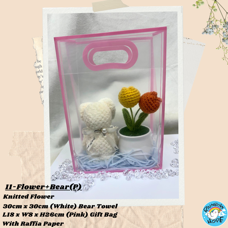 Gift Set /Birthday Christmas Gift/ Companion Gift/ Teachers Day/ Artificial Potted Plant礼物套装