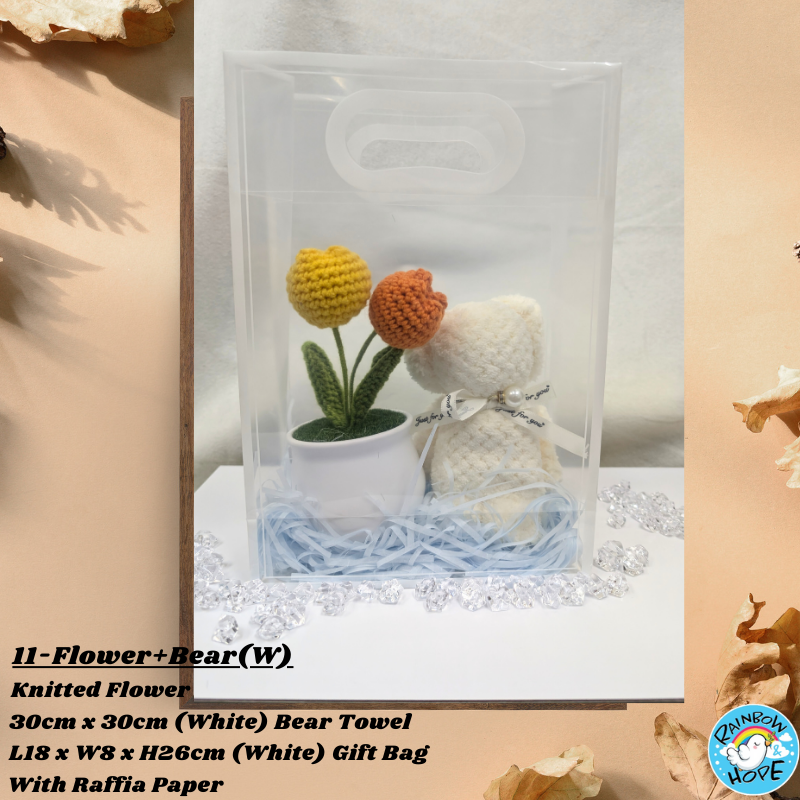 Gift Set /Birthday Christmas Gift/ Companion Gift/ Teachers Day/ Artificial Potted Plant礼物套装