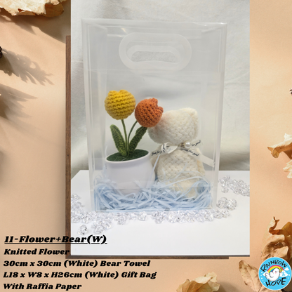 Gift Set /Birthday Christmas Gift/ Companion Gift/ Teachers Day/ Artificial Potted Plant礼物套装