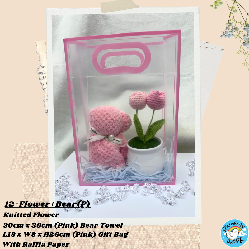 Gift Set /Birthday Christmas Gift/ Companion Gift/ Teachers Day/ Artificial Potted Plant礼物套装