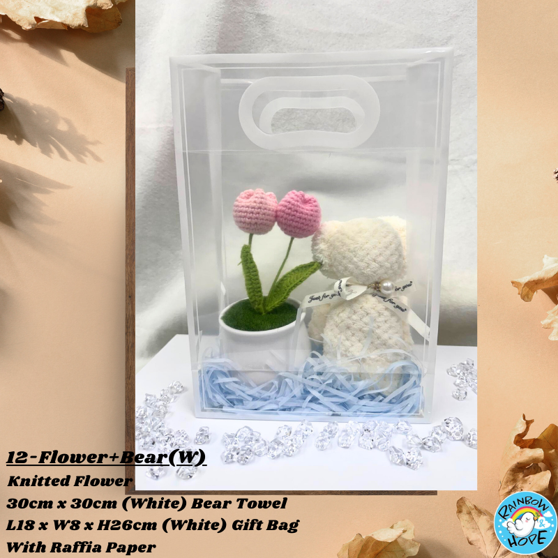 Gift Set /Birthday Christmas Gift/ Companion Gift/ Teachers Day/ Artificial Potted Plant礼物套装