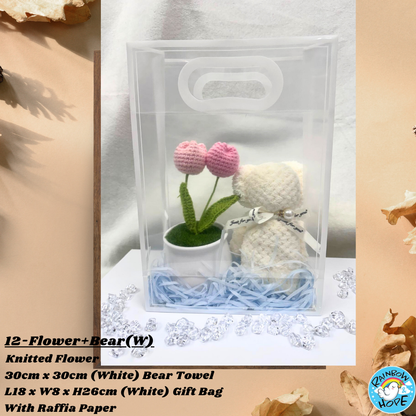 Gift Set /Birthday Christmas Gift/ Companion Gift/ Teachers Day/ Artificial Potted Plant礼物套装