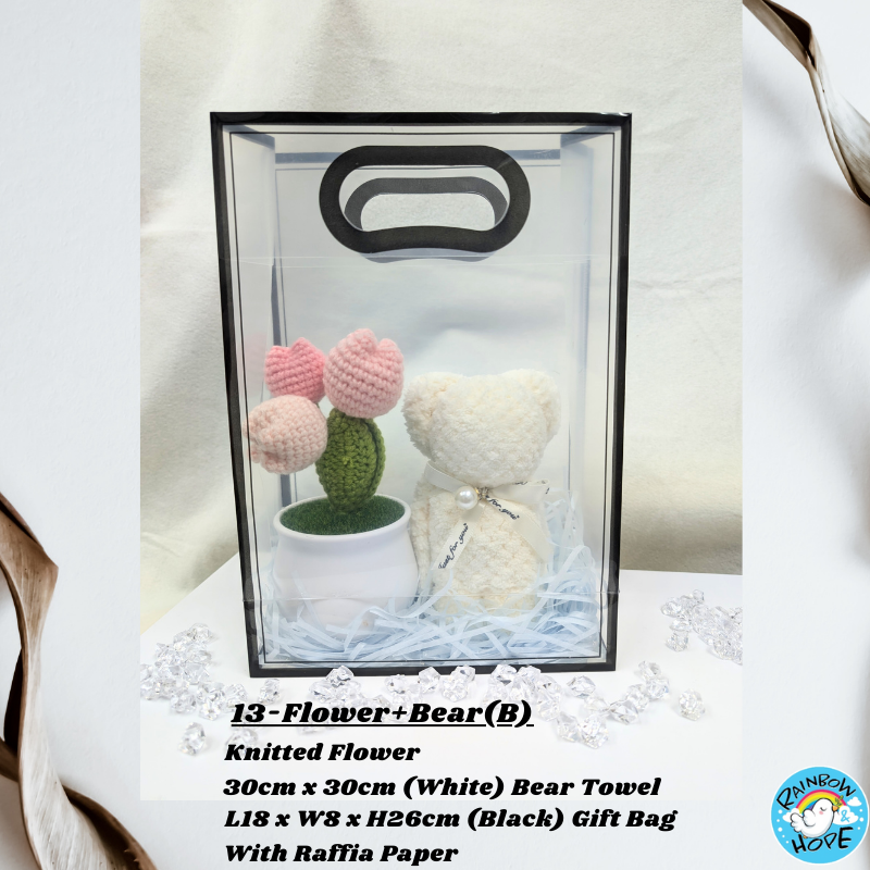 Gift Set /Birthday Christmas Gift/ Companion Gift/ Teachers Day/ Artificial Potted Plant礼物套装