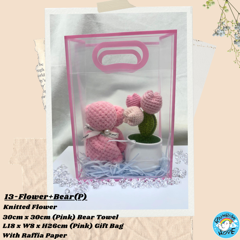 Gift Set /Birthday Christmas Gift/ Companion Gift/ Teachers Day/ Artificial Potted Plant礼物套装