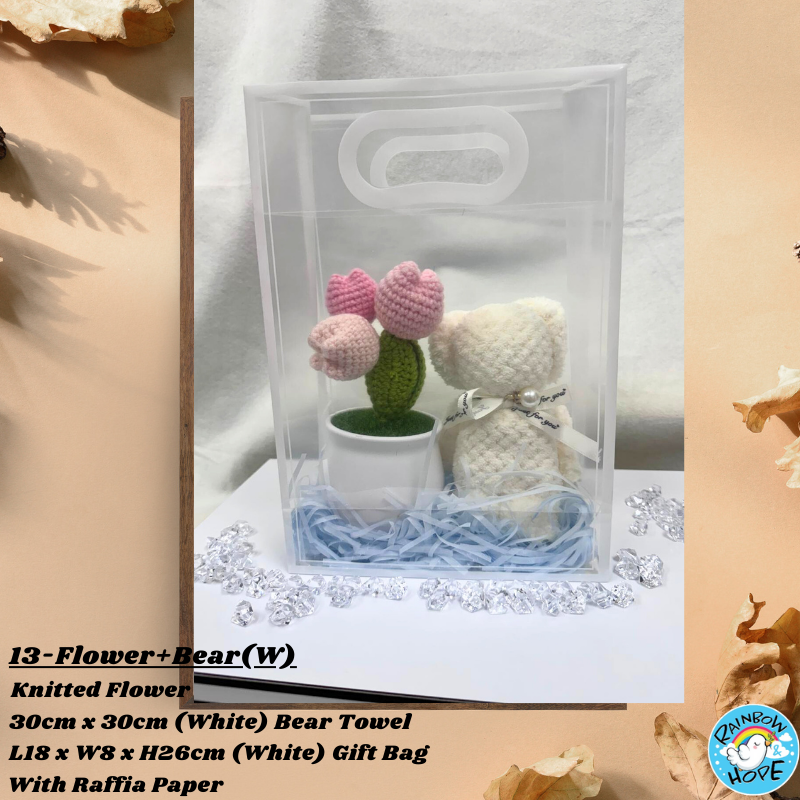 Gift Set /Birthday Christmas Gift/ Companion Gift/ Teachers Day/ Artificial Potted Plant礼物套装