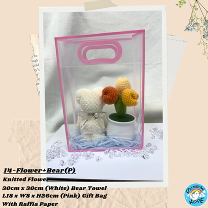Gift Set /Birthday Christmas Gift/ Companion Gift/ Teachers Day/ Artificial Potted Plant礼物套装