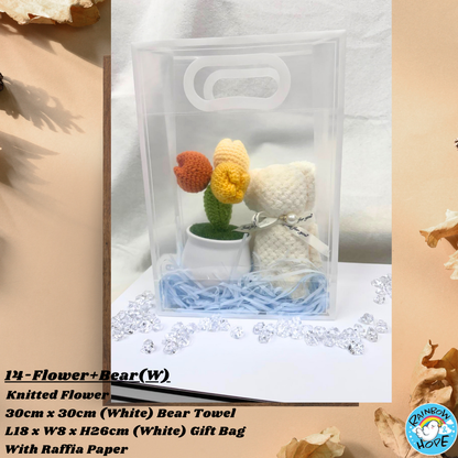 Gift Set /Birthday Christmas Gift/ Companion Gift/ Teachers Day/ Artificial Potted Plant礼物套装