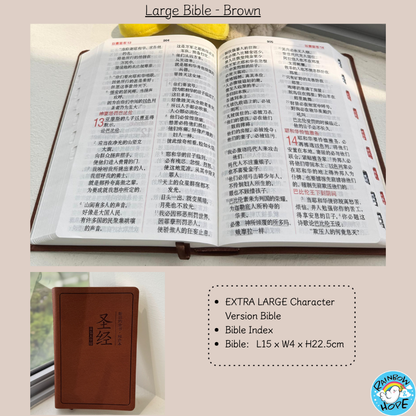 Chinese Bible: Simplified Chinese Union Version 《简体华文圣经，和合本》