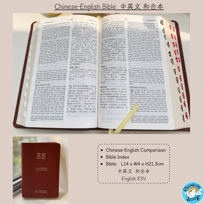 Chinese Bible: Simplified Chinese Union Version 《简体华文圣经，和合本》