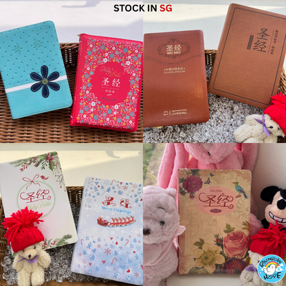 Chinese Bible: Simplified Chinese Union Version 《简体华文圣经，和合本》