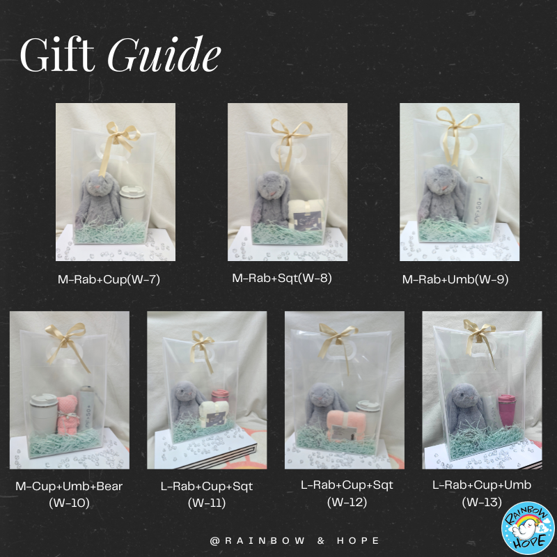 Gift Set /Birthday Christmas Gift/Companion Gift/ Teachers Day/Living Hampers礼品套装