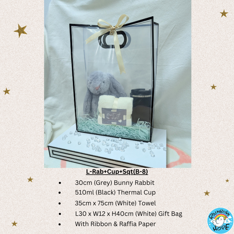 Gift Set /Birthday Christmas Gift/Companion Gift/ Teachers Day/Living Hampers礼品套装