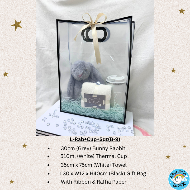 Gift Set /Birthday Christmas Gift/Companion Gift/ Teachers Day/Living Hampers礼品套装