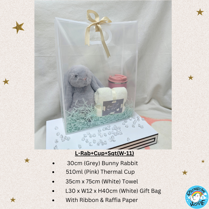 Gift Set /Birthday Christmas Gift/Companion Gift/ Teachers Day/Living Hampers礼品套装
