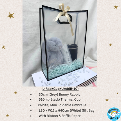 Gift Set /Birthday Christmas Gift/Companion Gift/ Teachers Day/Living Hampers礼品套装