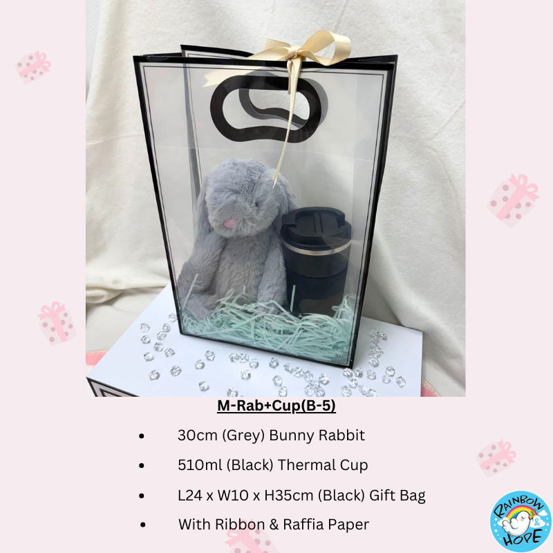 Gift Set /Birthday Christmas Gift/Companion Gift/ Teachers Day/Living Hampers礼品套装