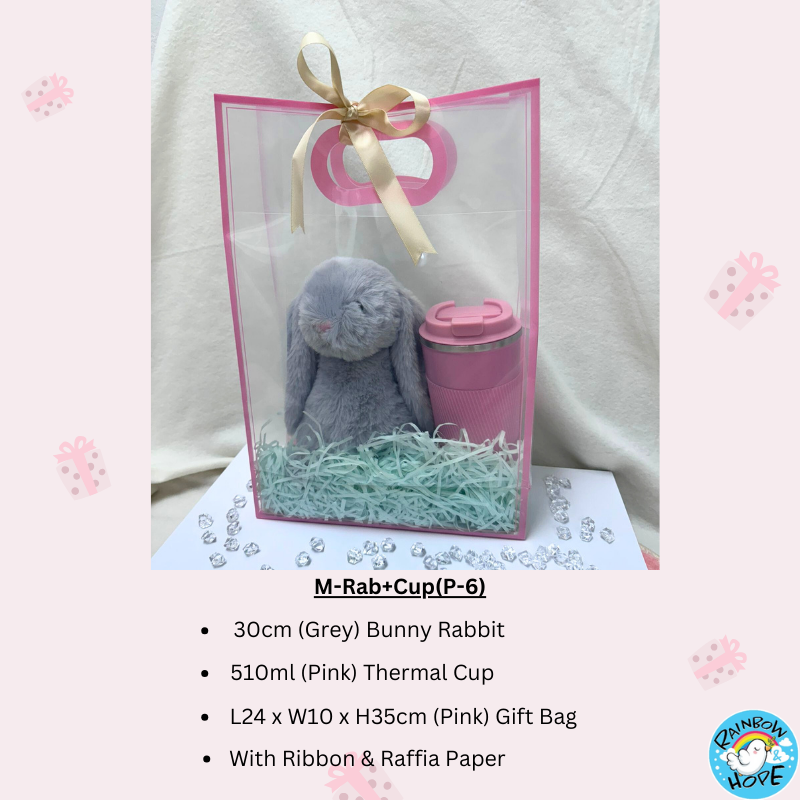 Gift Set /Birthday Christmas Gift/Companion Gift/ Teachers Day/Living Hampers礼品套装