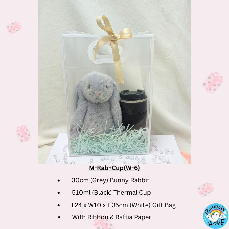 Gift Set /Birthday Christmas Gift/Companion Gift/ Teachers Day/Living Hampers礼品套装