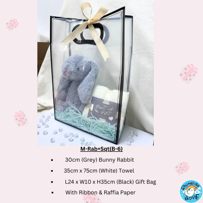 Gift Set /Birthday Christmas Gift/Companion Gift/ Teachers Day/Living Hampers礼品套装