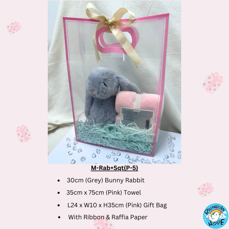 Gift Set /Birthday Christmas Gift/Companion Gift/ Teachers Day/Living Hampers礼品套装