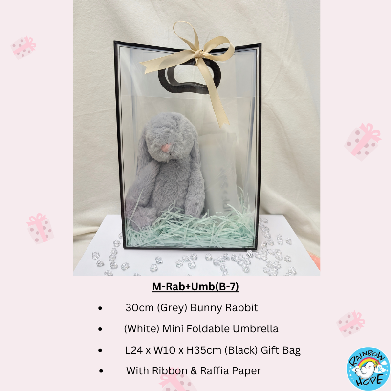 Gift Set /Birthday Christmas Gift/Companion Gift/ Teachers Day/Living Hampers礼品套装